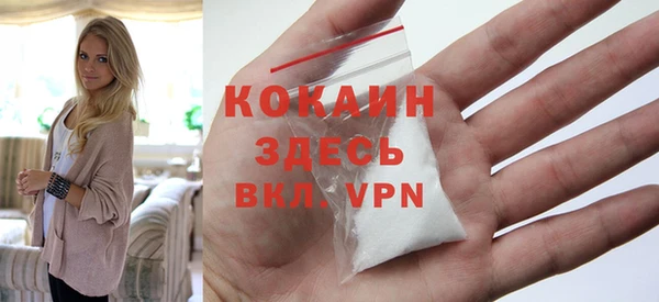 индика Абинск