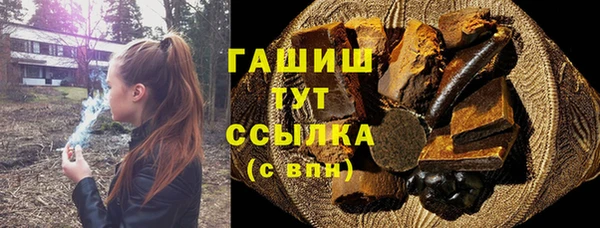 индика Абинск