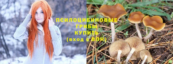 индика Абинск