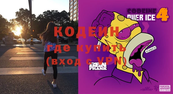индика Абинск