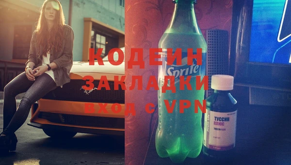 индика Абинск