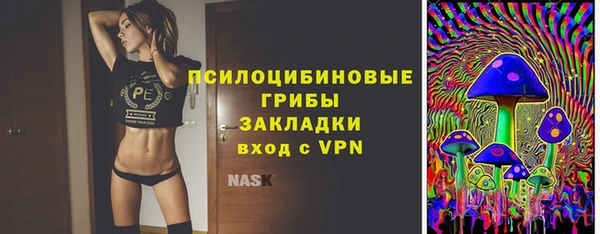 индика Абинск
