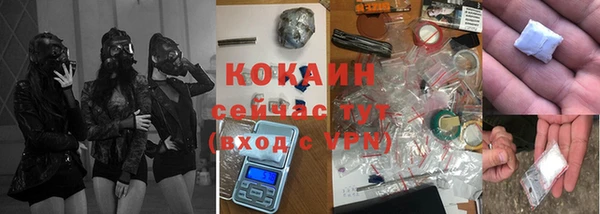 индика Абинск