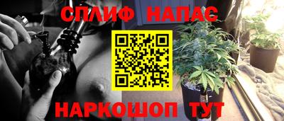 стафф Малгобек