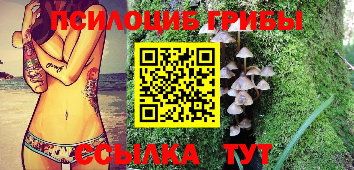 Галлюциногенные грибы мухоморы Каменск-Шахтинский