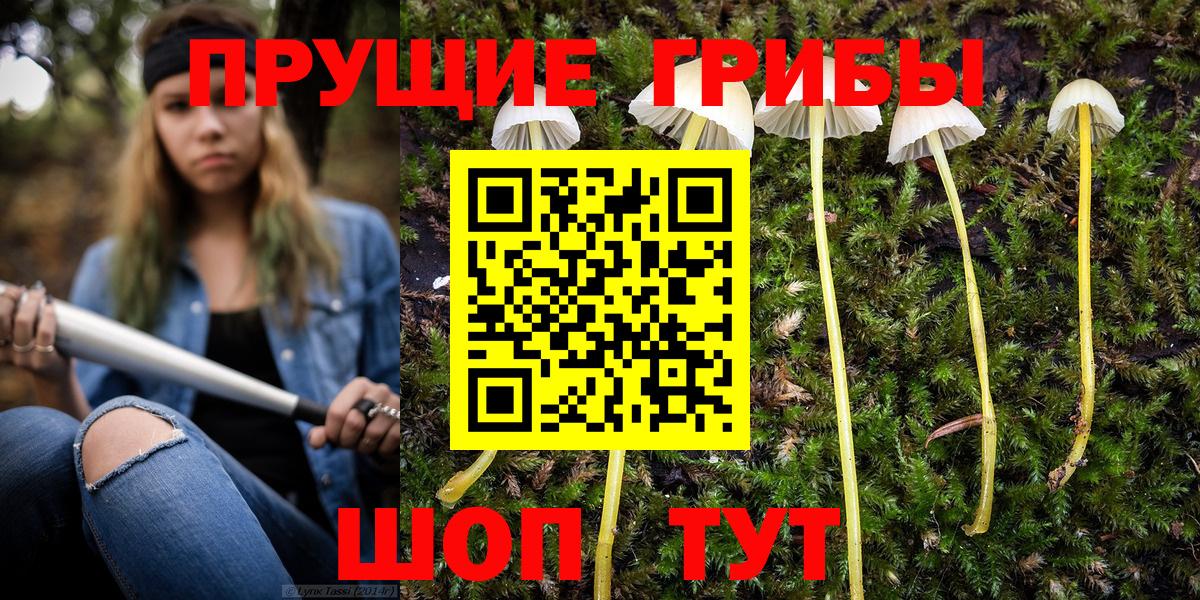 Каменск-Шахтинский  Псилоцибиновые грибы MAGIC MUSHROOMS  Вход с VPN 